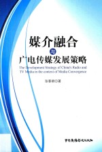 媒介融合与广电传媒发展策略