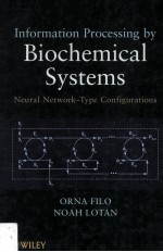 Information Processing By Biochemical Systems Neural Network-Type Configurations