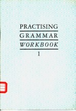 PRACTISING GRAMMAR WORKBOOK 1