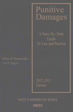 PUNITIVE DAMAGES A STATE BY STATE GUIDE TO LAW AND PRACTICE