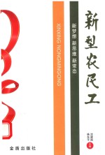 新型农民工  新梦想  新思维  新常态