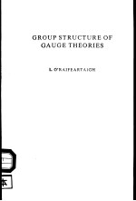 GROUP STRUCTURE OF GAUGE THEORIES