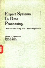 EXPERT SYSTEMS IN DATA PROCESSING