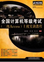 全国计算机等级考试（二级Access）上机实训教程