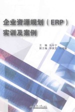企业资源规划（ERP）实训及案例