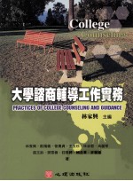 大学谘商辅导工作实务