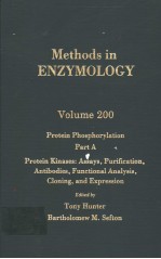 METHODS IN ENZYMOLOGY  VOLUME 200  PROTEIN PHOSPHORYLATION  PART A  PROTEIN KINASES：ASSAYS