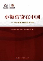 小额信贷在中国：以小额贷款促进社会公平