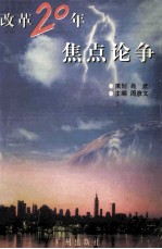 改革20年焦点论争  1978-1998  文学焦点  艺术焦点  缪斯骚动  酒神烂醉