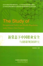 新常态下中国职业安全与健康规制研究