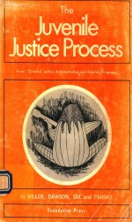 THE JUVENILE JUSTICE PROCESS