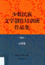 少数民族文学创作培训班作品集  2013  云南卷