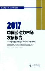 2017中国劳动力市场发展报告