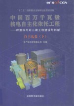 中国百万千瓦级核电自主化依托工程-岭澳核电站二期工程建设与创新  自主化卷  下