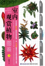 室内观赏植物图鉴  2