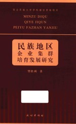 民族地区企业集群培育发展研究