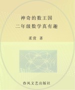 神奇的数王国  数学童话  二年级数学真有趣  注音美绘