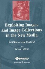 EXPLOITING IMAGES AND IMAGE COLLECTIONS IN THE NEW MEDIA