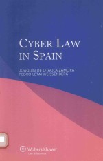 CYBER LAW IN SPAIN JOAQUIN DE OTAOLA ZAMORA PEDRO LETAI WEISSENBERG