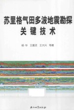 苏里格气田多波地震勘探关键技术