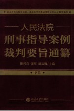 人民法院刑事指导案例裁判要旨通纂  下卷