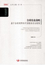 全球农业战略  基于全球视野的中国粮食安全框架