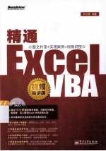 精通Excel VBA  视频精讲版