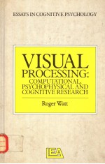 VISUAL PROCESSING：COMPUTATIONAL PSYCHOPHYSICAL AND COGNITIVE RESEARCH