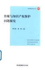 传媒与知识产权保护问题探究