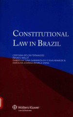 CONSTITUTIONAL LAW IN BRAZIL