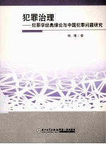 犯罪治理  犯罪学经典理论与中国犯罪问题研究