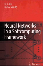 Neural Networks in a Softcomputing Framework