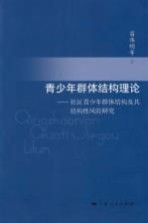 青少年群体结构理论  社区青少年群体结构及其结构性风险研究