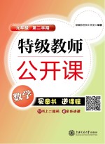 特级教师公开课  数学  九年级  第二学期