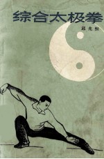 综合太极拳