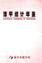 漳平统计年鉴  2007