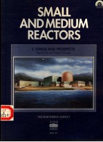 SMALL AND MEDIUM REACTORS 1 STATUS AND PROSPECTS