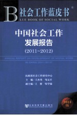 中国社会工作发展报告  2013版