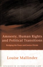 AMNESTY，HUMAN RIGHTS AND POLITICAL TRANSITIONS  BRIDGING THE PEACE AND JUSTICE DIVIDE