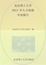 北京理工大学2013年人力资源年度报告