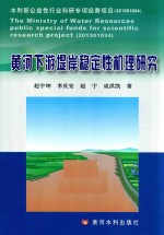 黄河下游堤岸稳定性机理研究