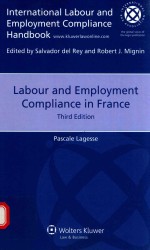 LABOUR AND EMPLOYMENT COMPLIANCE IN FRANCE THIRD EDITION PASCALE LAGESSE