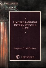 UNDERSTANDING INTERNATIONAL LAW