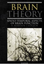 BRAIN THEORY SPATIO-TEMPORAL ASPECTS OF BRAIN FUNCTION