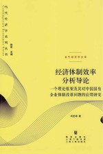 经济体制效率分析导论  一个理论框架及其对中国国有企业体制改革问题的应用研究