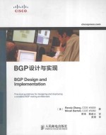 BGP设计与实现