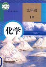 义务教育教科书  化学  九年级  下