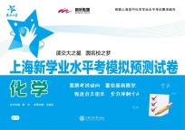 上海新学业水平考模拟预测试卷  化学