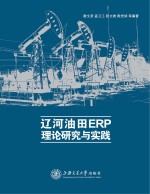 辽河油田ERP理论研究与实践