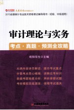 2013全国审计专业技术资格考试辅导用书  初级、中级通用  -审计理论与实务考点·真题·预测全攻略